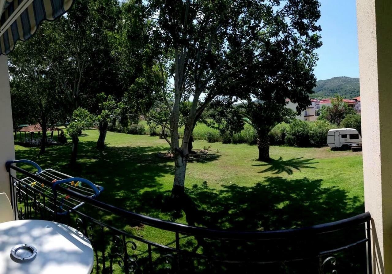 χρυσή αμμουδιά Τορώνη